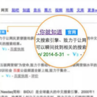 成功申请百度官网标志经验分享